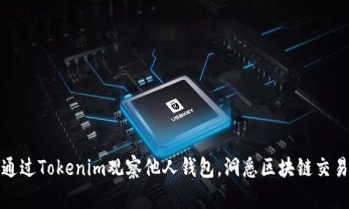 如何通过Tokenim观察他人钱包，洞悉区块链交易动态