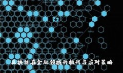 区块链在金融领域的挑战与应对策略