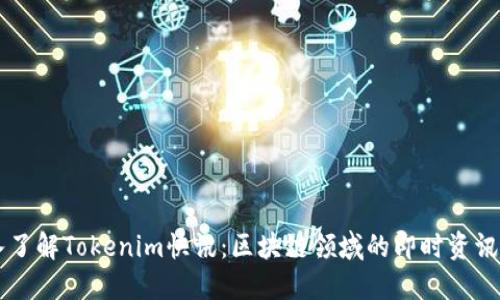 深入了解Tokenim快讯：区块链领域的即时资讯平台