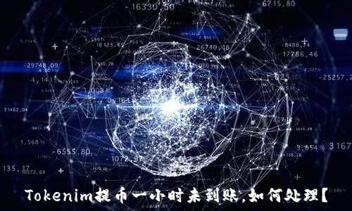   
Tokenim提币一小时未到账，如何处理？