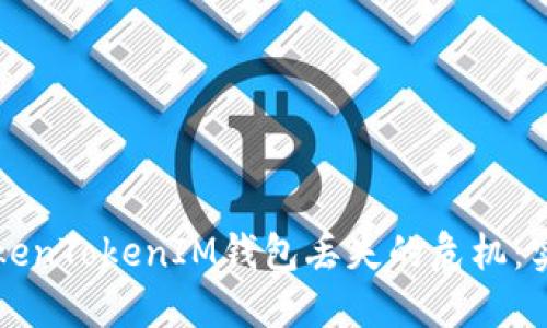 如何应对TokenTokenIM钱包丢失的危机：实用应对指南