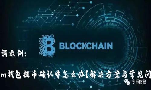 与关键词示例:

Tokenim钱包提币确认中怎么办？解决方案与常见问题解析