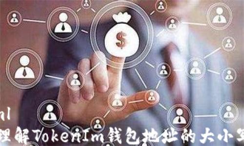 
```xml
深入理解TokenIm钱包地址的大小写规则