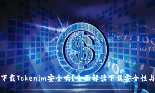 在百度上下载Tokenim安全吗？全面解读下载安全性与风险评估