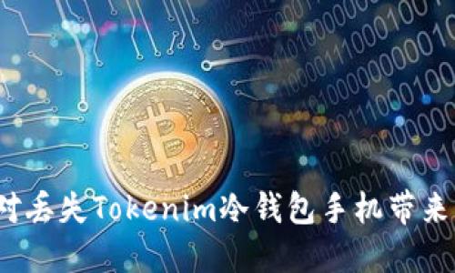 如何应对丢失Tokenim冷钱包手机带来的风险？