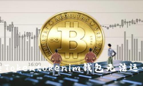 如何解决Tokentokenim钱包无法运行的问题