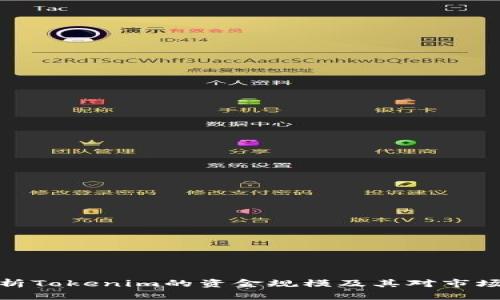 深入解析Tokenim的资金规模及其对市场的影响