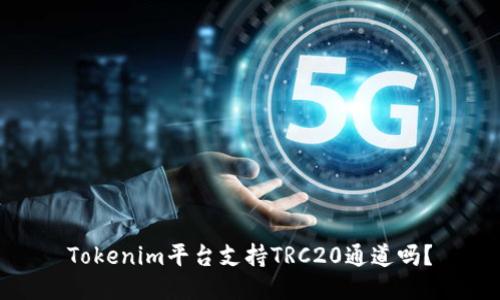 Tokenim平台支持TRC20通道吗？