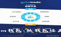 : Tokenim钱包：热钱包还是冷钱包？