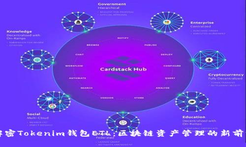 解密Tokenim钱包ETL：区块链资产管理的新前沿