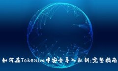 如何在Tokenim中安全导入私钥：完整指南