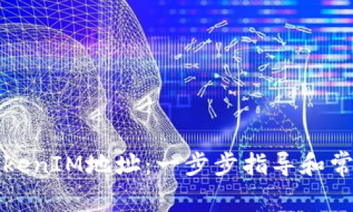如何申请TokenIM地址：一步步指导和常见问题解答