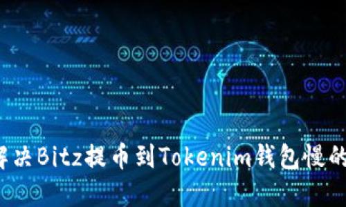 如何解决Bitz提币到Tokenim钱包慢的困扰？