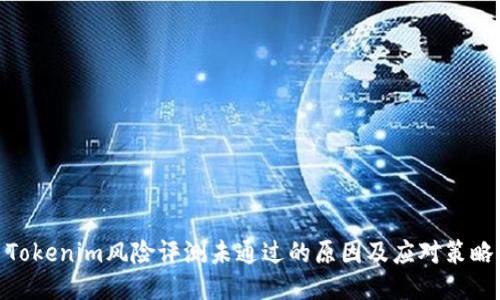 Tokenim风险评测未通过的原因及应对策略